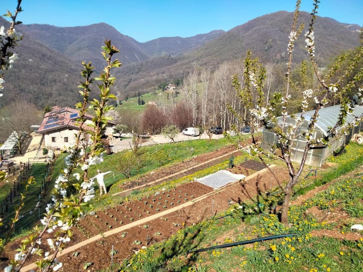 Agriturismo Ca' Fenile Villa Alzano Lombardo Exterior photo