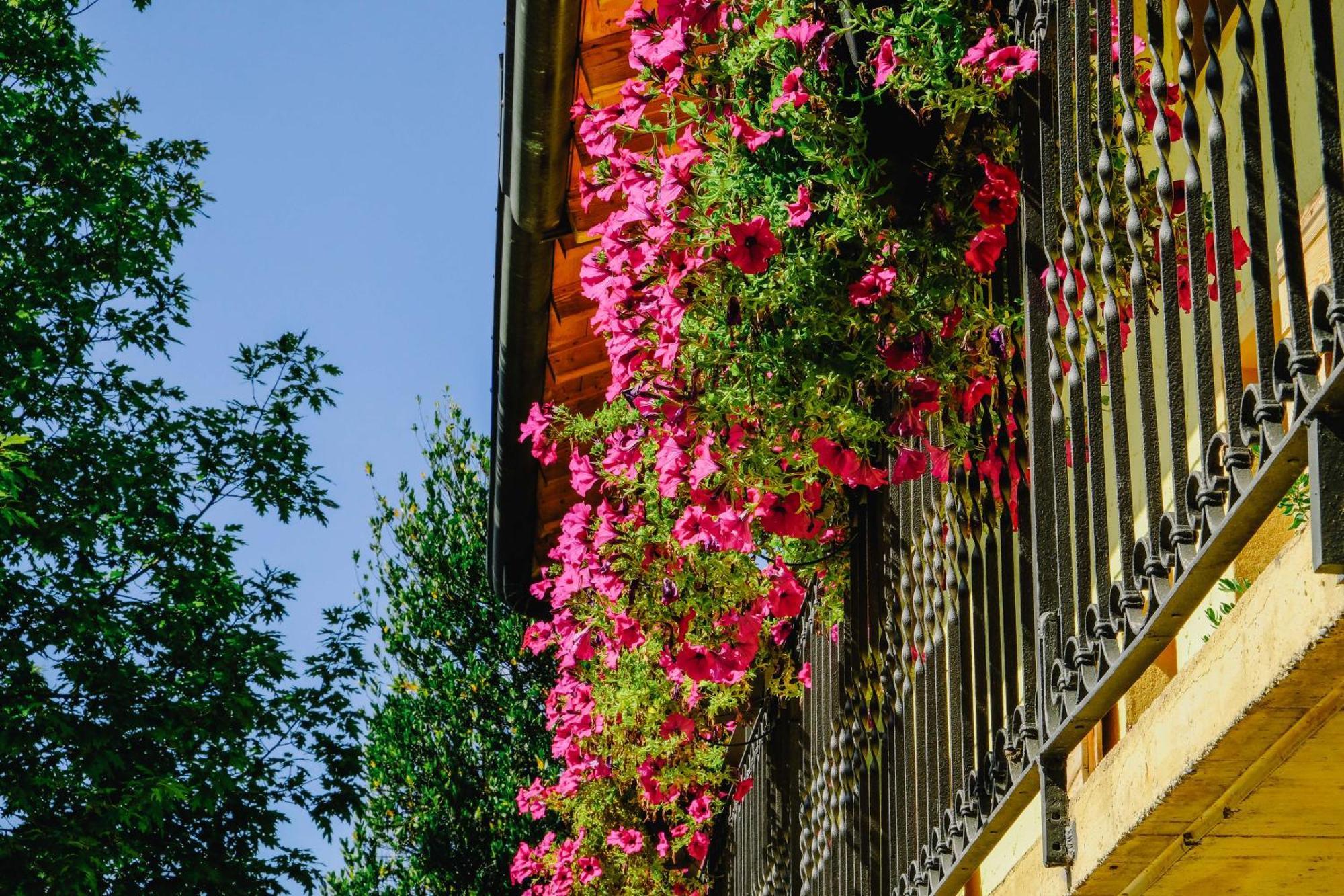 Agriturismo Ca' Fenile Villa Alzano Lombardo Exterior photo